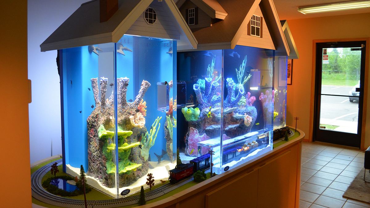 die aquarium-profis