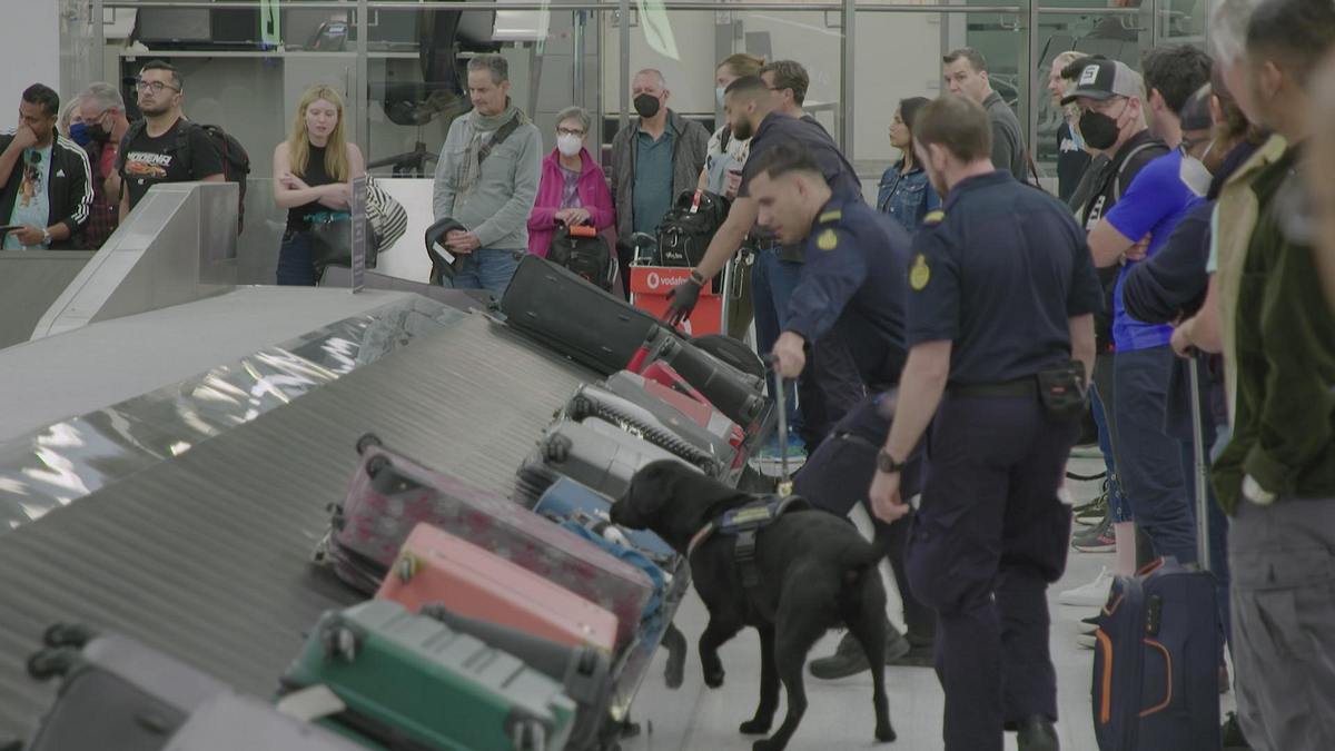 inside sydney airport: alltag am mega-flughafen