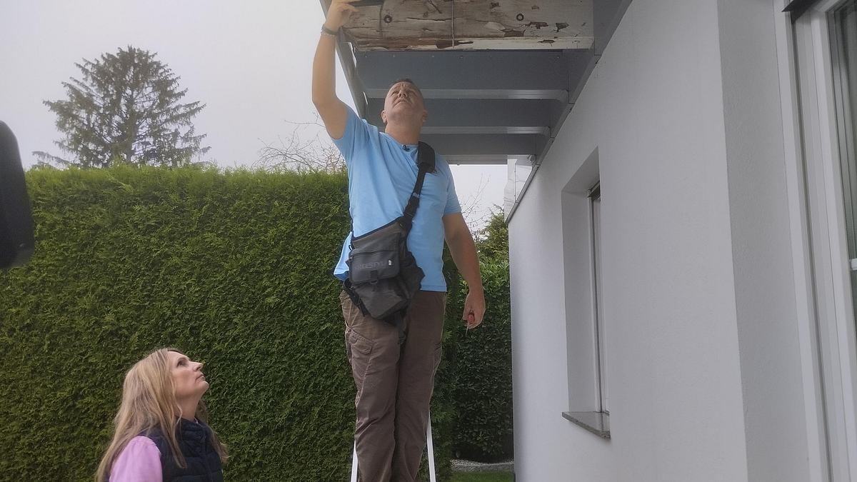 pfusch am bau