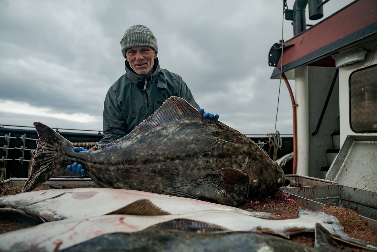 Dark Waters mit Jeremy Wade dark waters mit jeremy wade