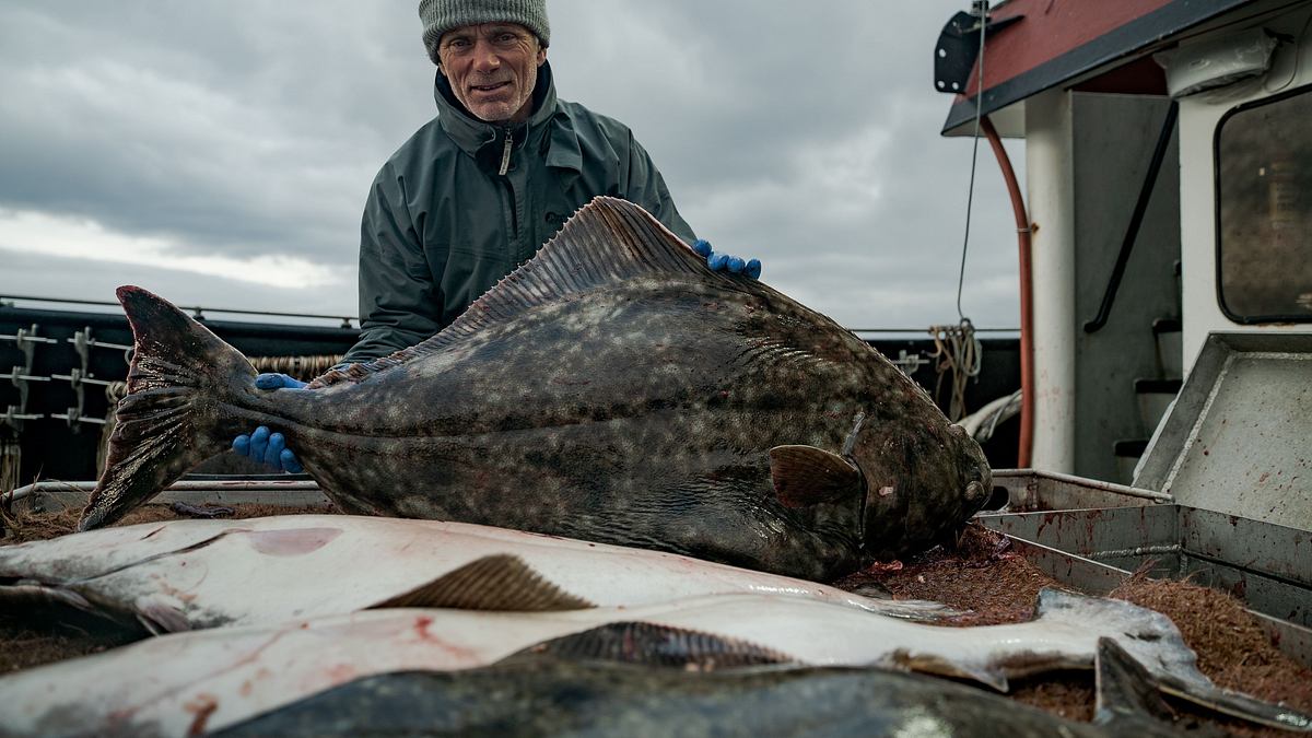 dark waters mit jeremy wade