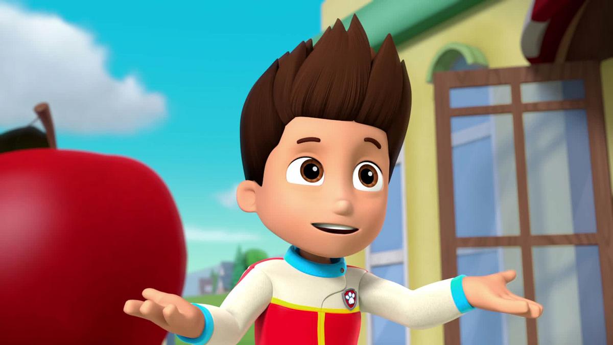 paw patrol - helfer auf vier pfoten