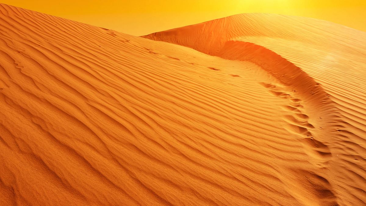 afrikas wilde wunderwelt