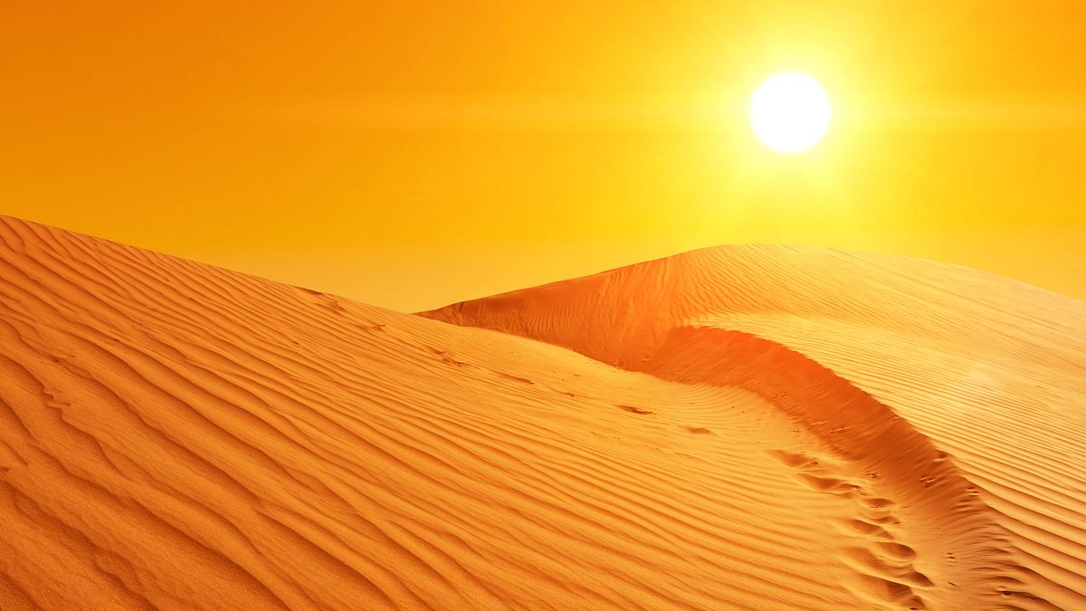 afrikas wilde wunderwelt