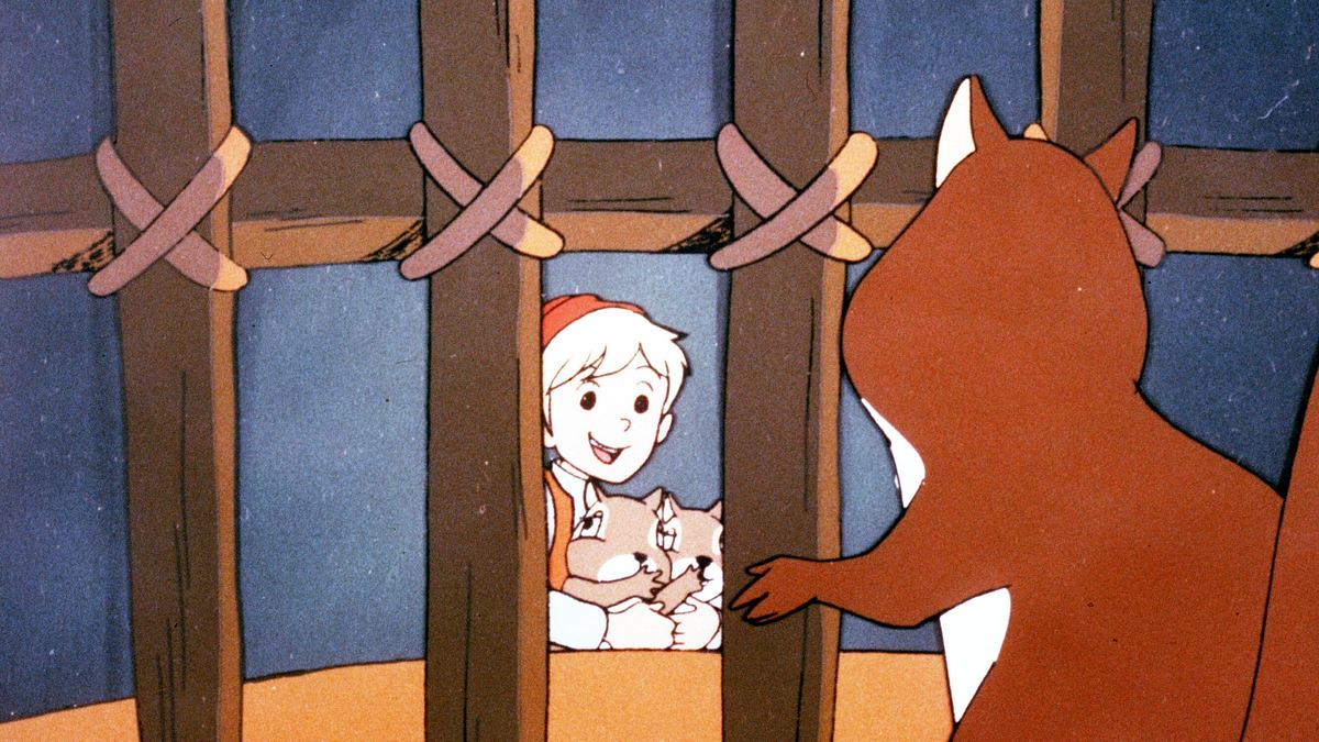 wunderbare reise des kleinen nils holgersson mit den wildgänsen
