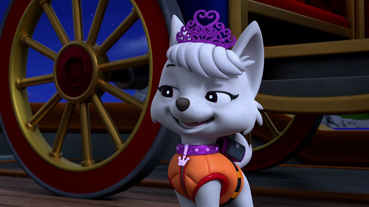 Paw Patrol - Helfer auf vier Pfoten paw patrol - helfer auf vier pfoten