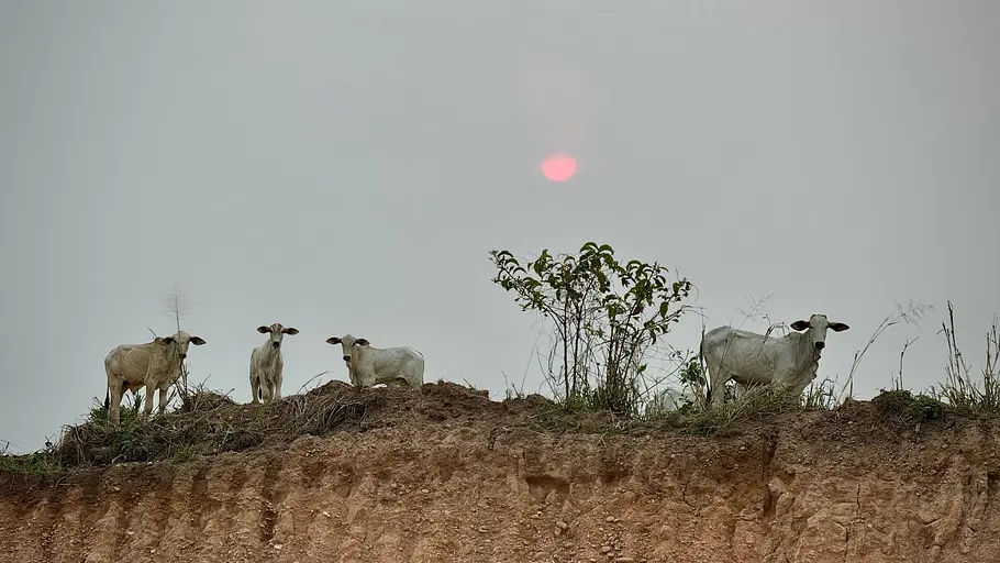Abenteuer Brasilien - Ein Land wie ein Kontinent abenteuer brasilien - ein land wie ein kontinent