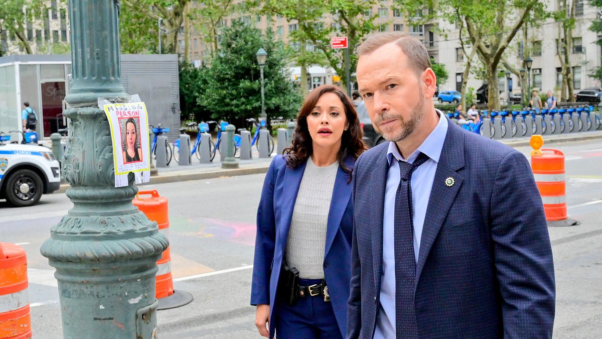 blue bloods - crime scene new york
