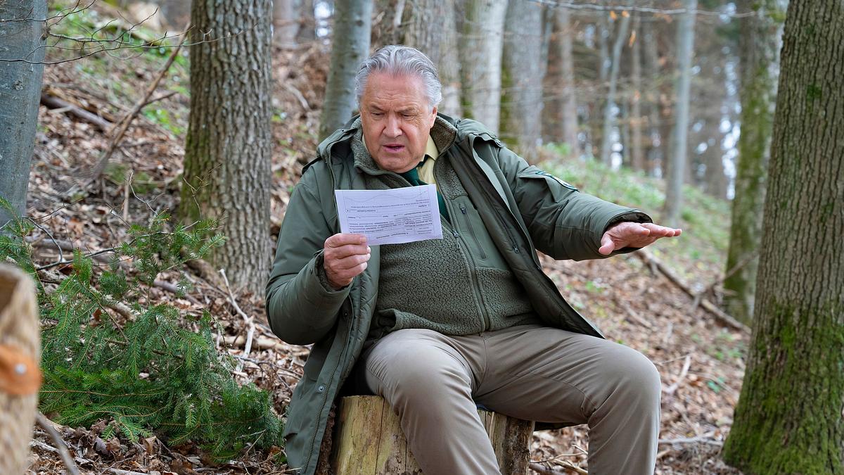 hubert ohne staller