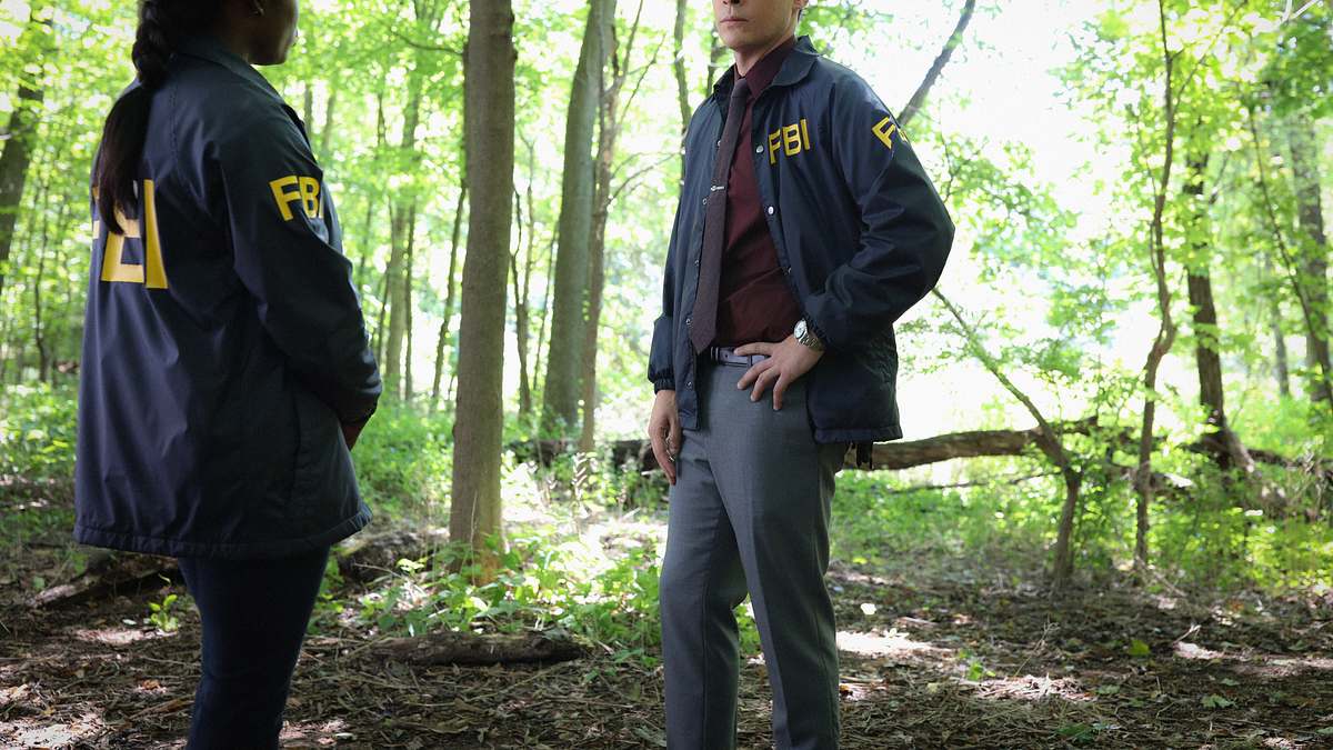fbi: special crime unit