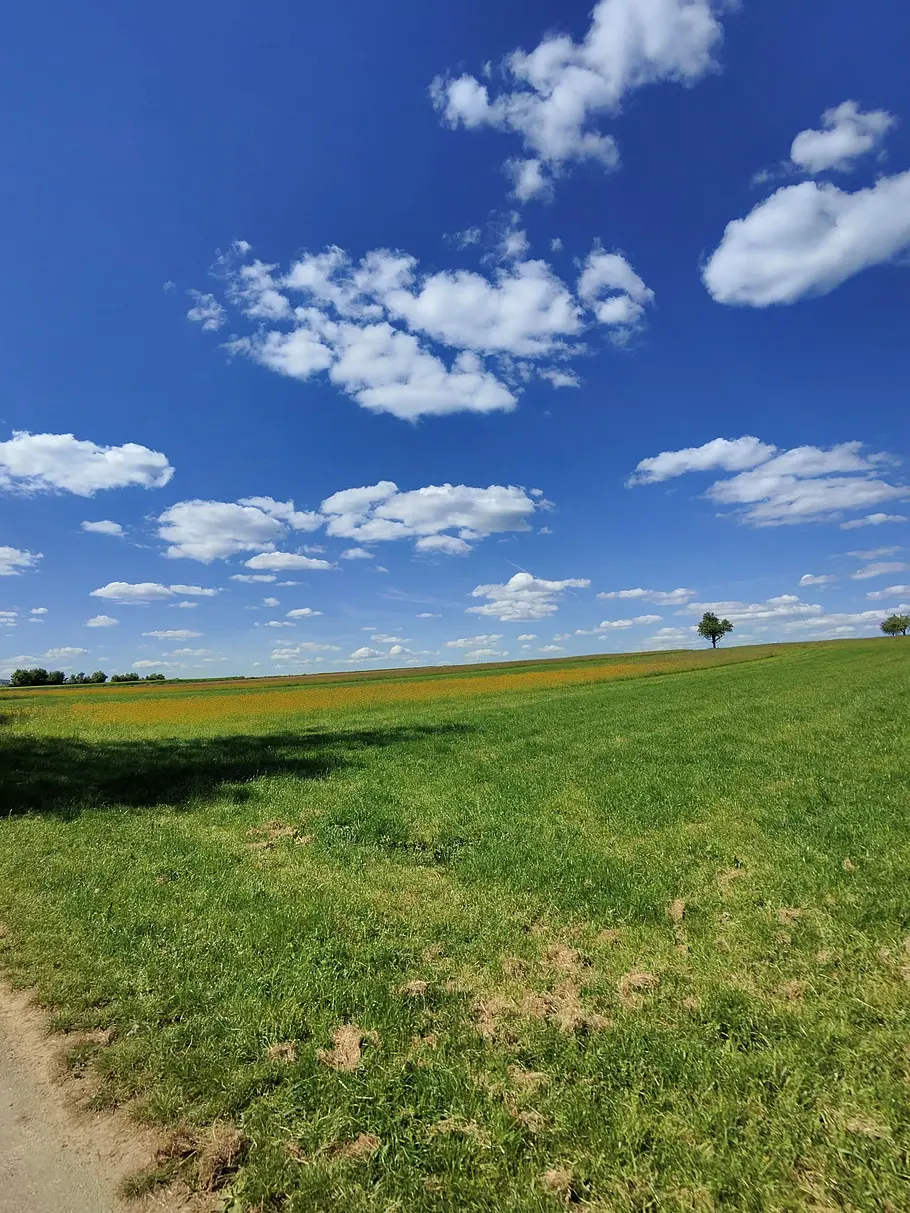 Ein Landschaftsfoto, aufgenommen mit den Meta Glasses.