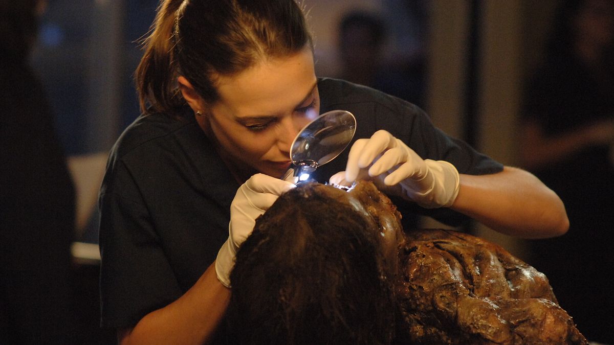 csi: ny