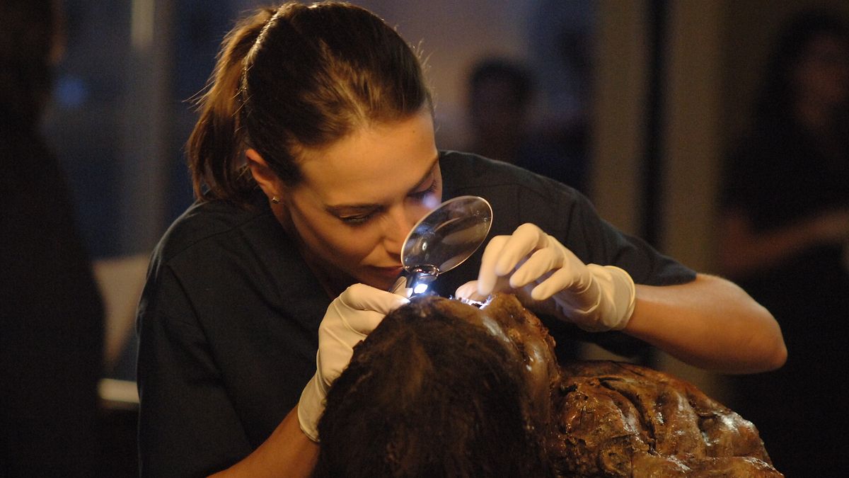 csi: ny