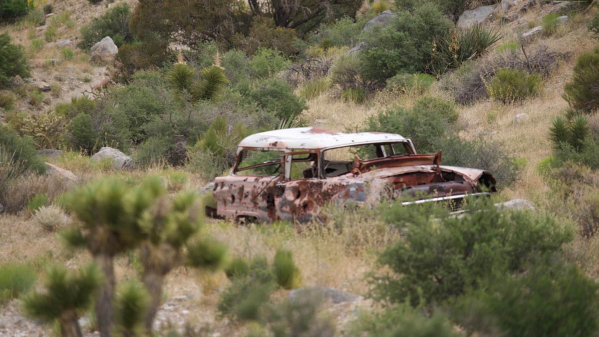 goldrausch: americas backyard gold