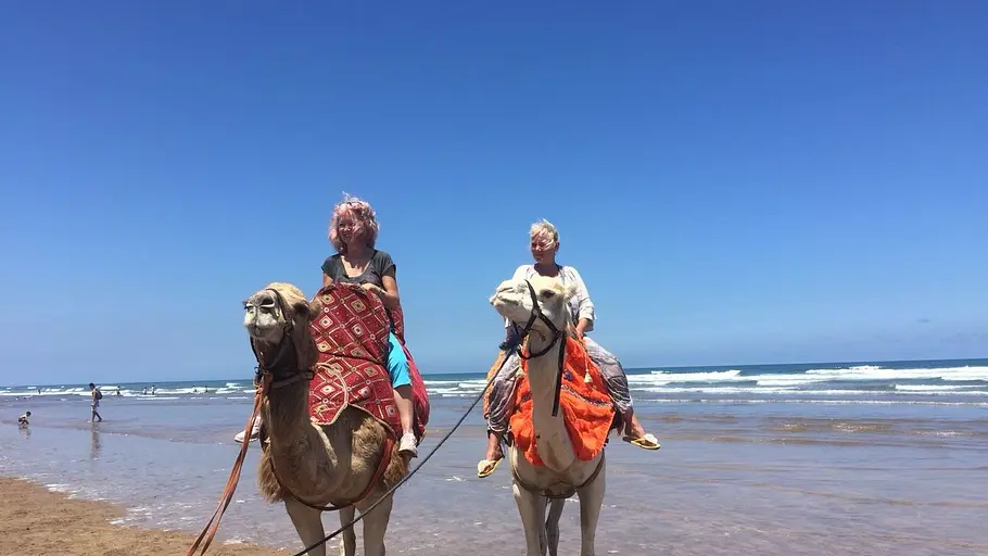 Urlaub für Anfänger urlaub für anfänger