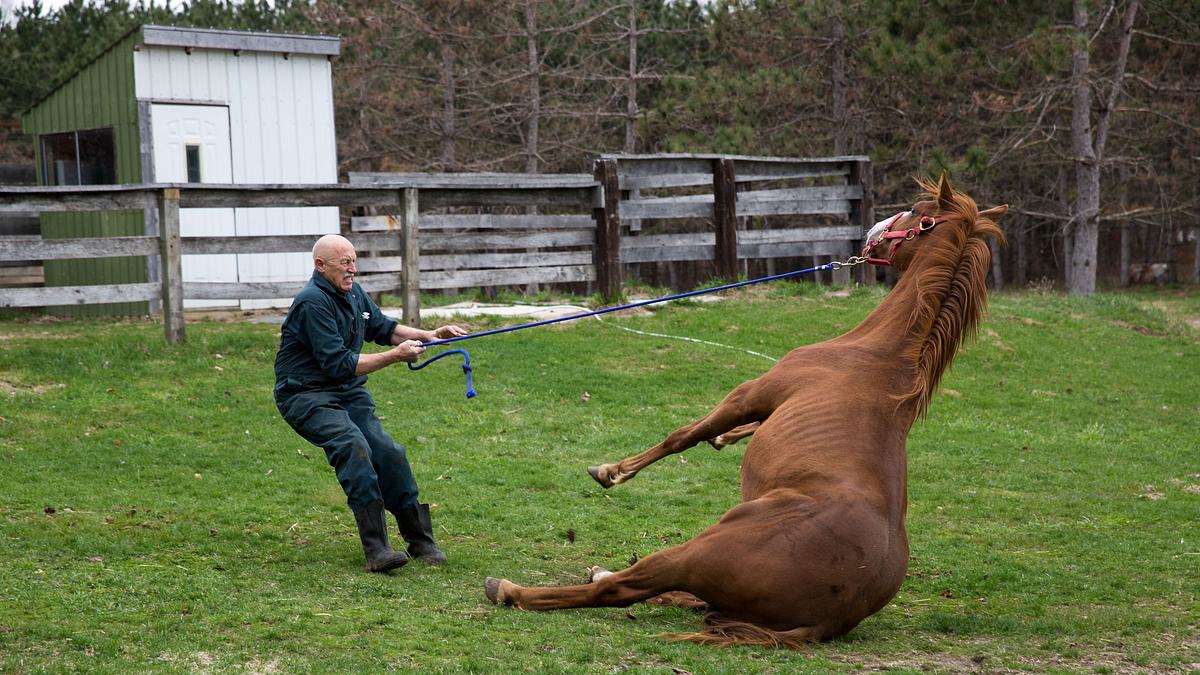 der unglaubliche dr. pol