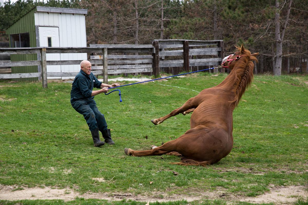 der unglaubliche dr. pol
