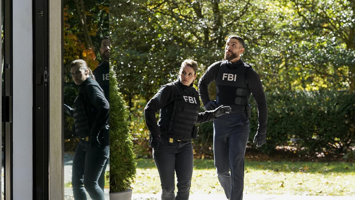 fbi: special crime unit