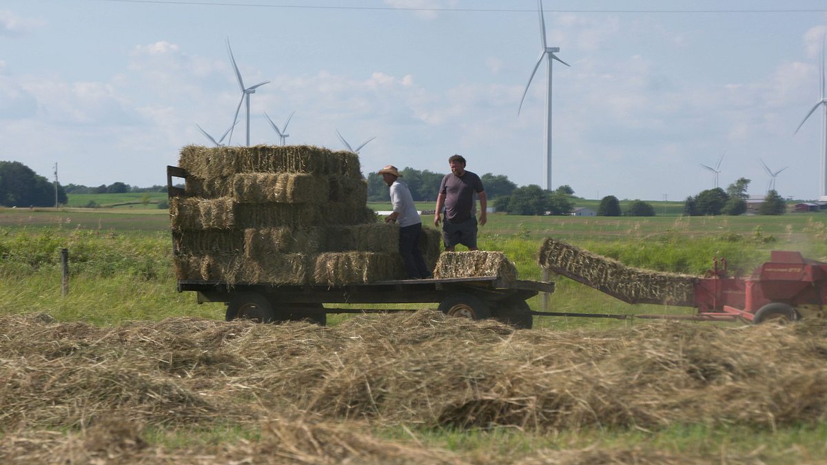 die unglaubliche pol-farm