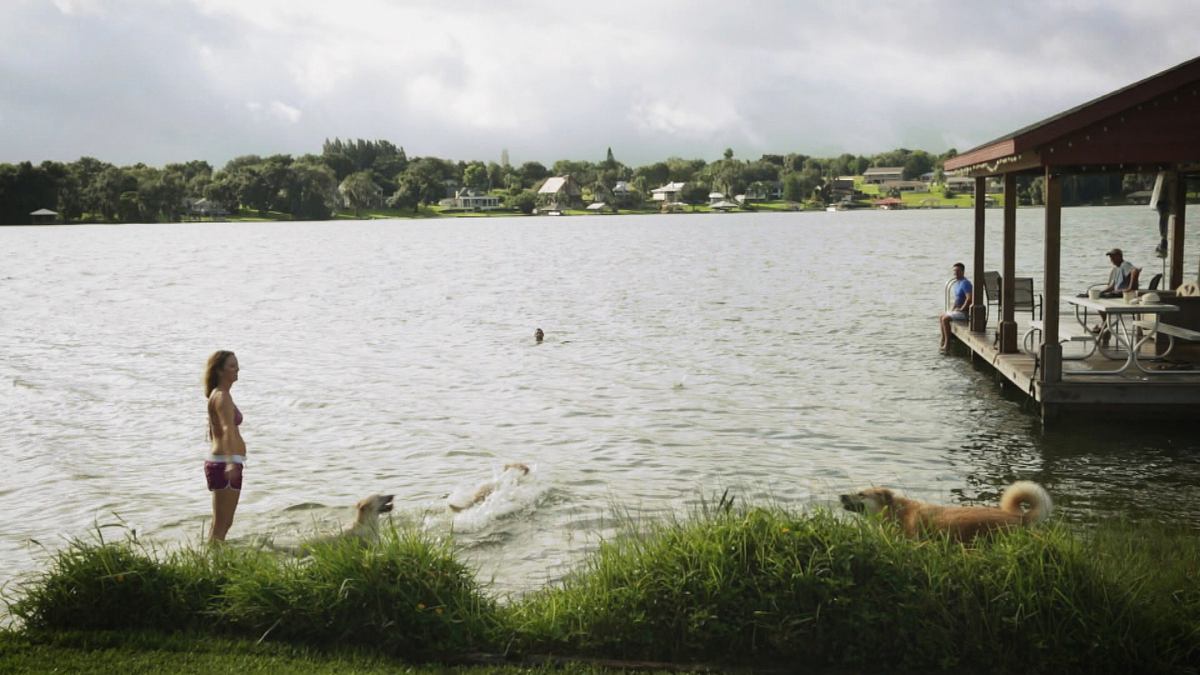 lakefront - haus am see gesucht