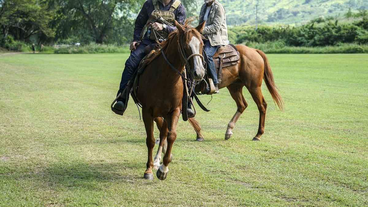 hawaii five-0