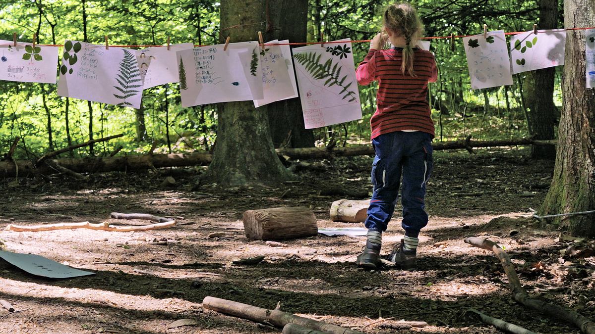 der wald ist mein schulzimmer - wie kinder im freien lernen
