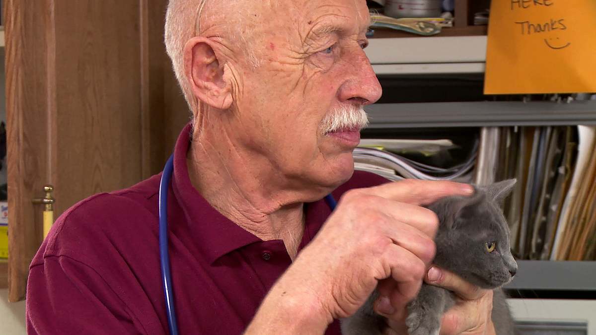 der unglaubliche dr. pol