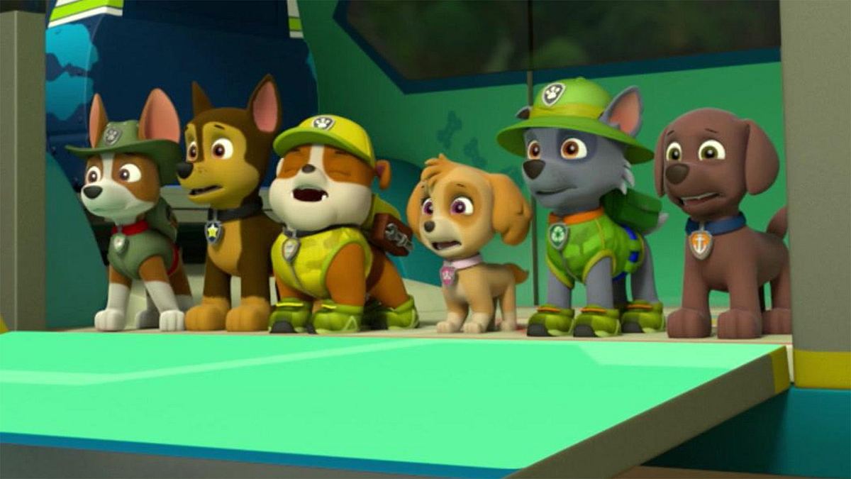 Paw Patrol - Helfer auf vier Pfoten paw patrol - helfer auf vier pfoten