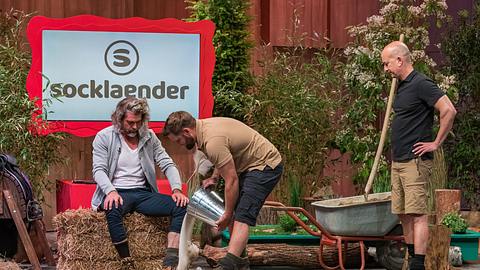 Socklaender aus Die Höhle der Löwen - Foto: RTL / Bernd-Michael Maurer
