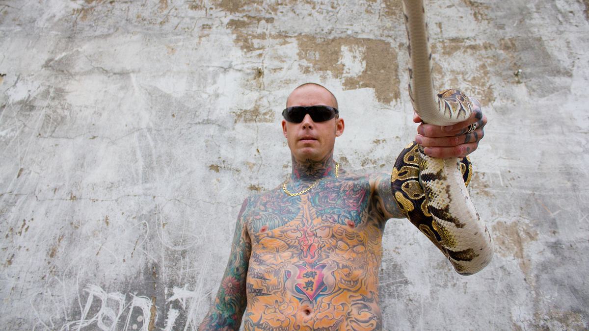 snakes in the city