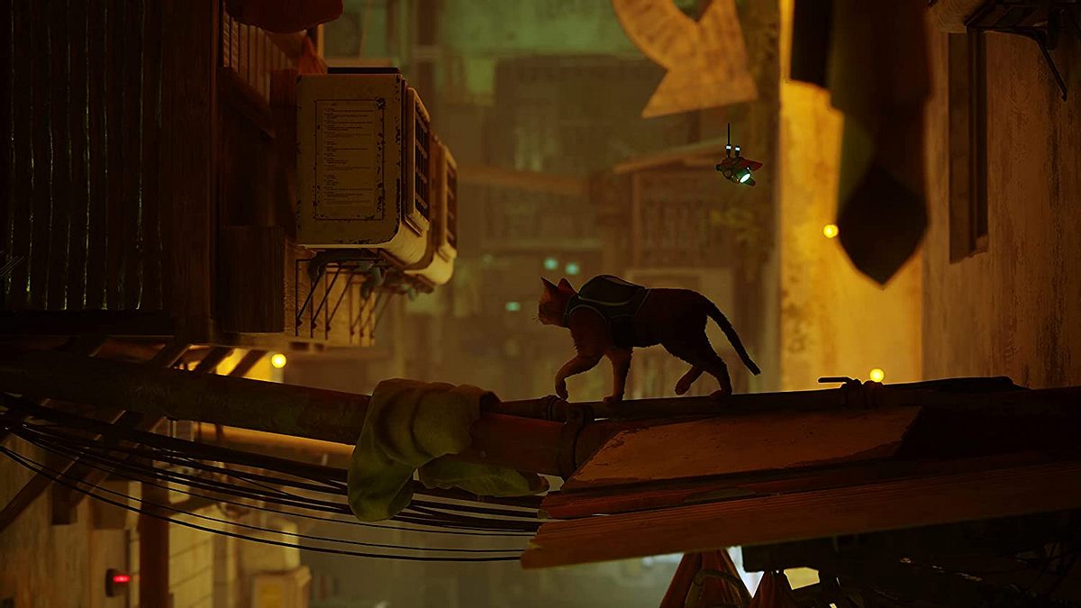 Stray PS5