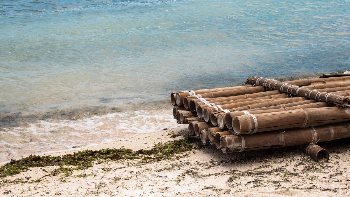 naked survival: castaways