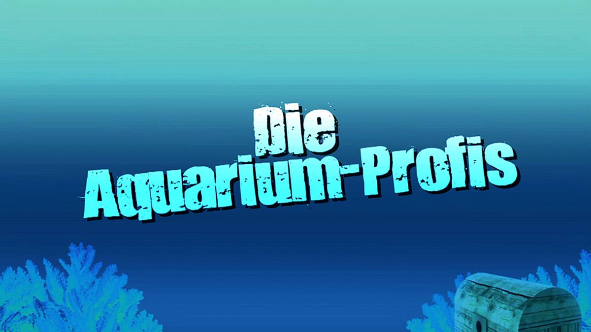 die aquarium-profis