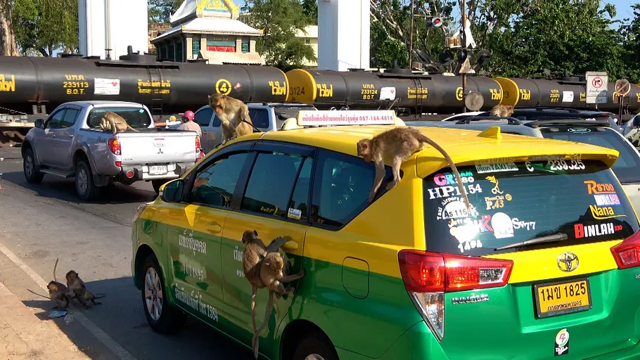 Thailand - Unterwegs im Königreich des Lächelns thailand - unterwegs im königreich des lächelns