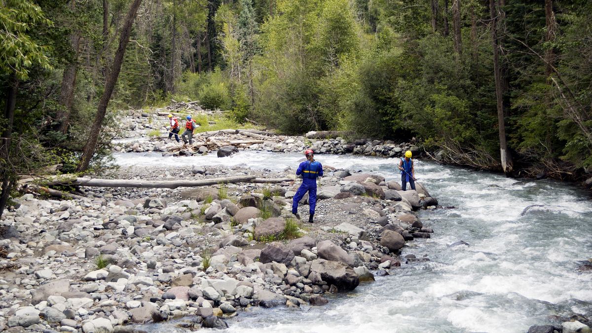 der blaulicht-report