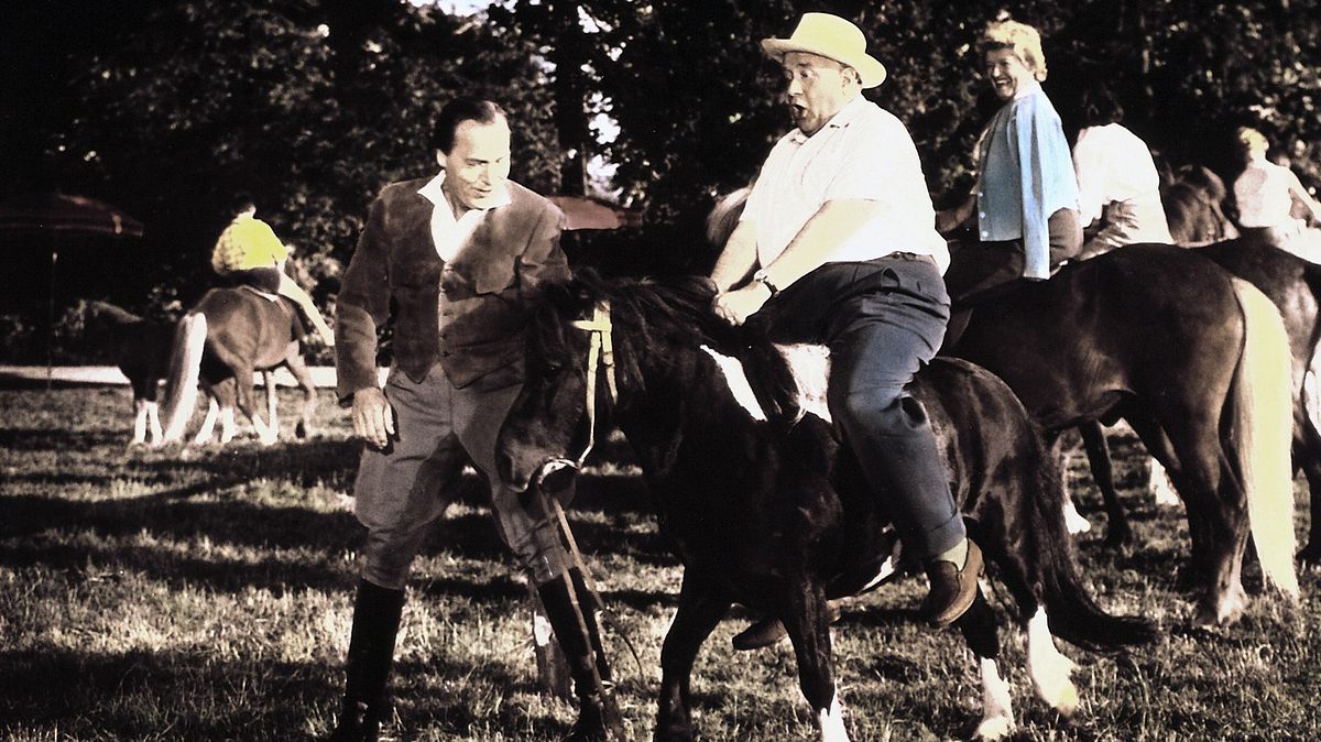 ferien auf immenhof