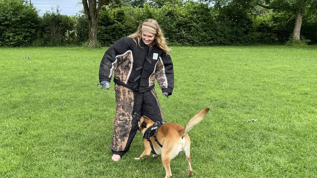 nina und die haustiere