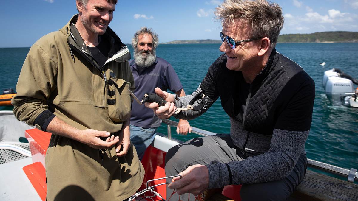 gordon ramsay: kulinarische abenteuer