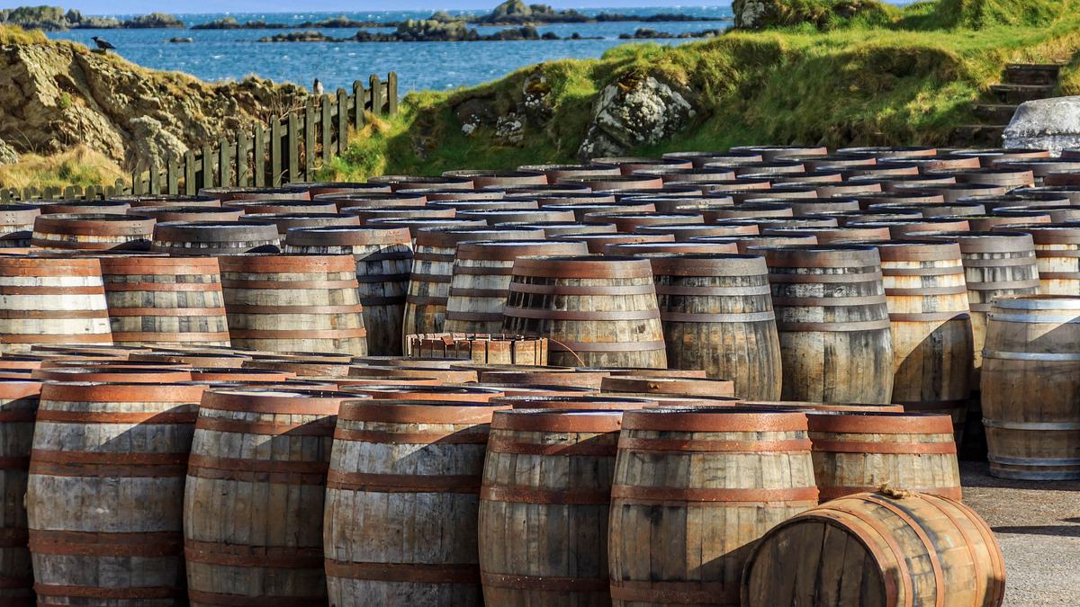 whisky-boom mit schattenseiten