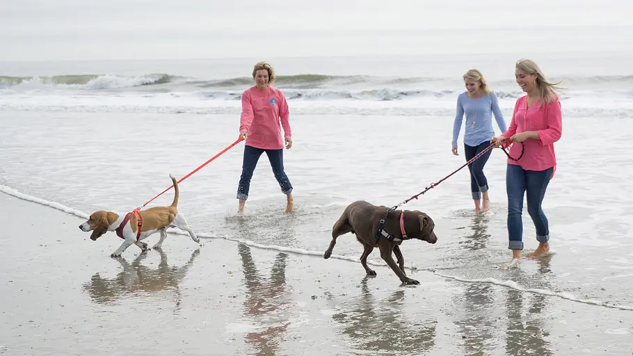 beach house hunters