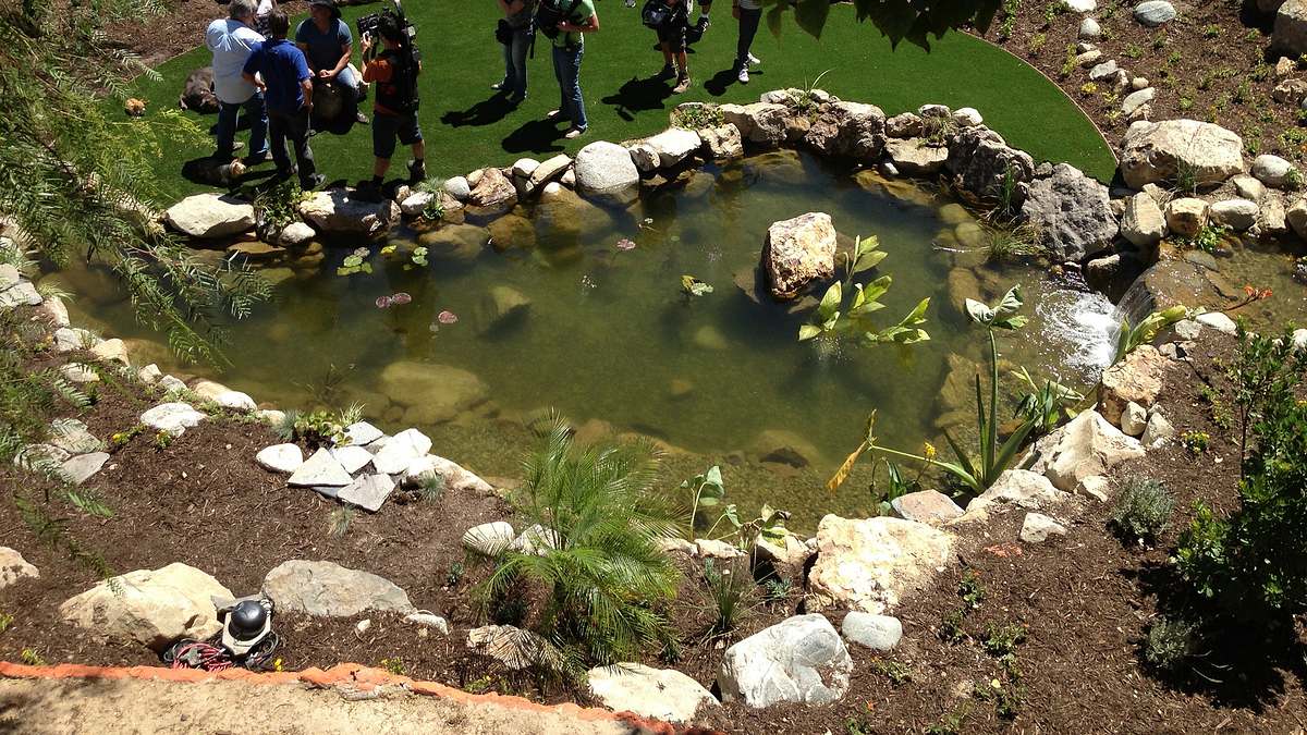 fish tank kings - gigantische wasserwelten