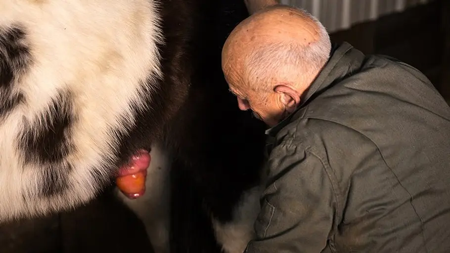 Der unglaubliche Dr. Pol der unglaubliche dr. pol