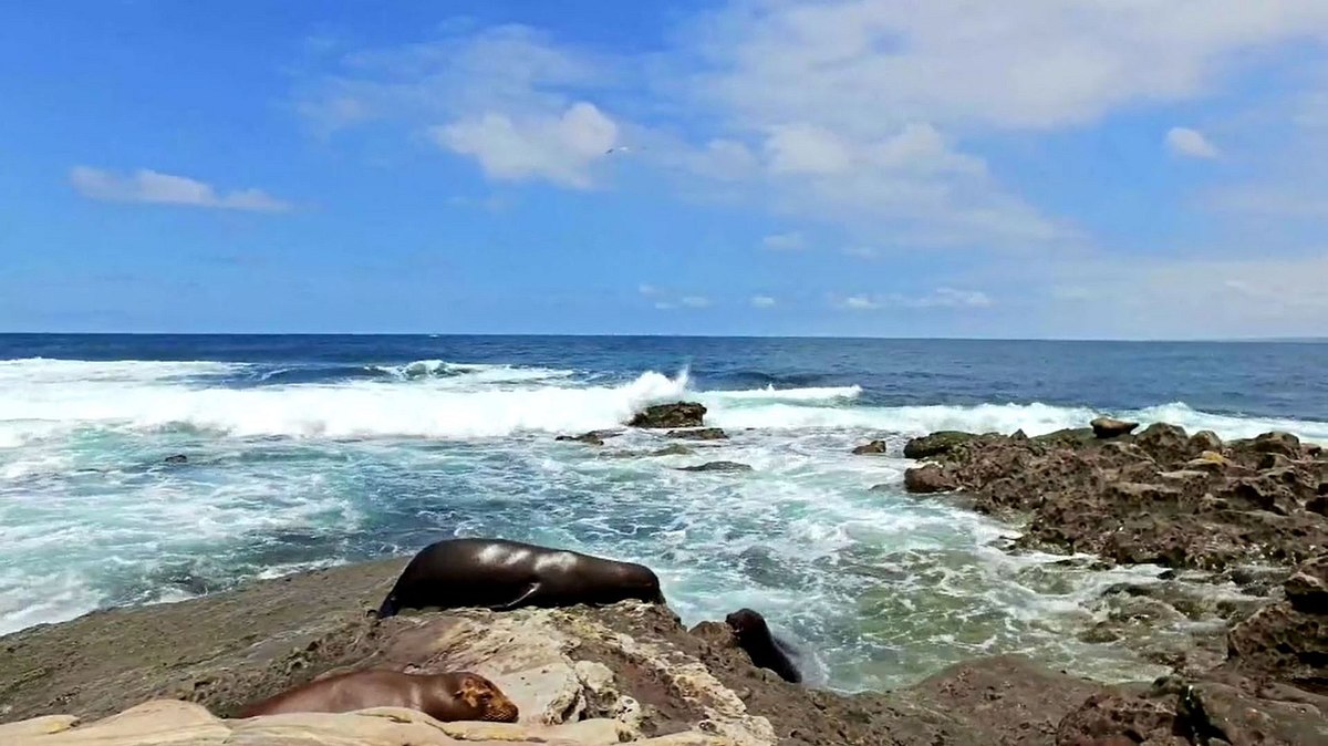 Island Life - Traumhaus gesucht island life - traumhaus gesucht