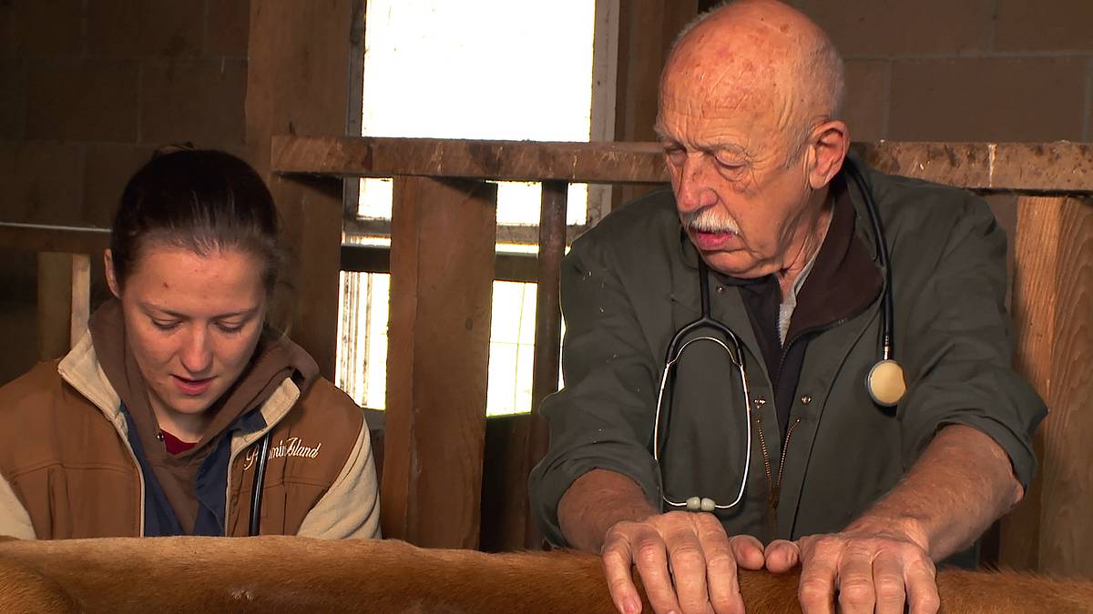 der unglaubliche dr. pol