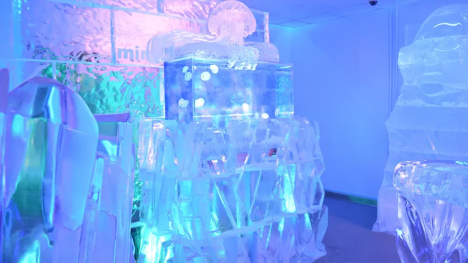 Die Aquarium-Profis die aquarium-profis