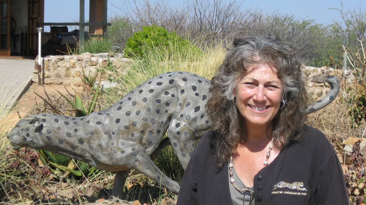 geheimakte wildnis