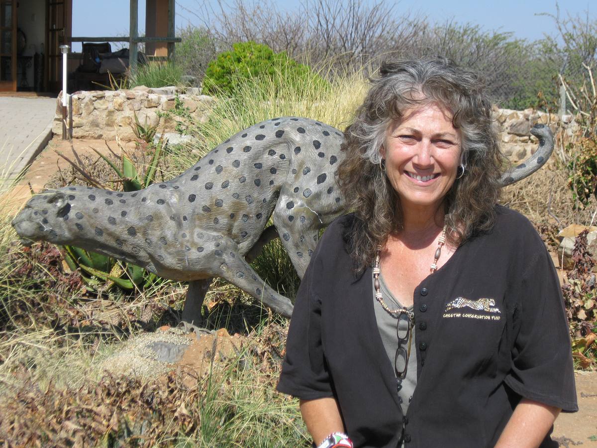 Geheimakte Wildnis geheimakte wildnis