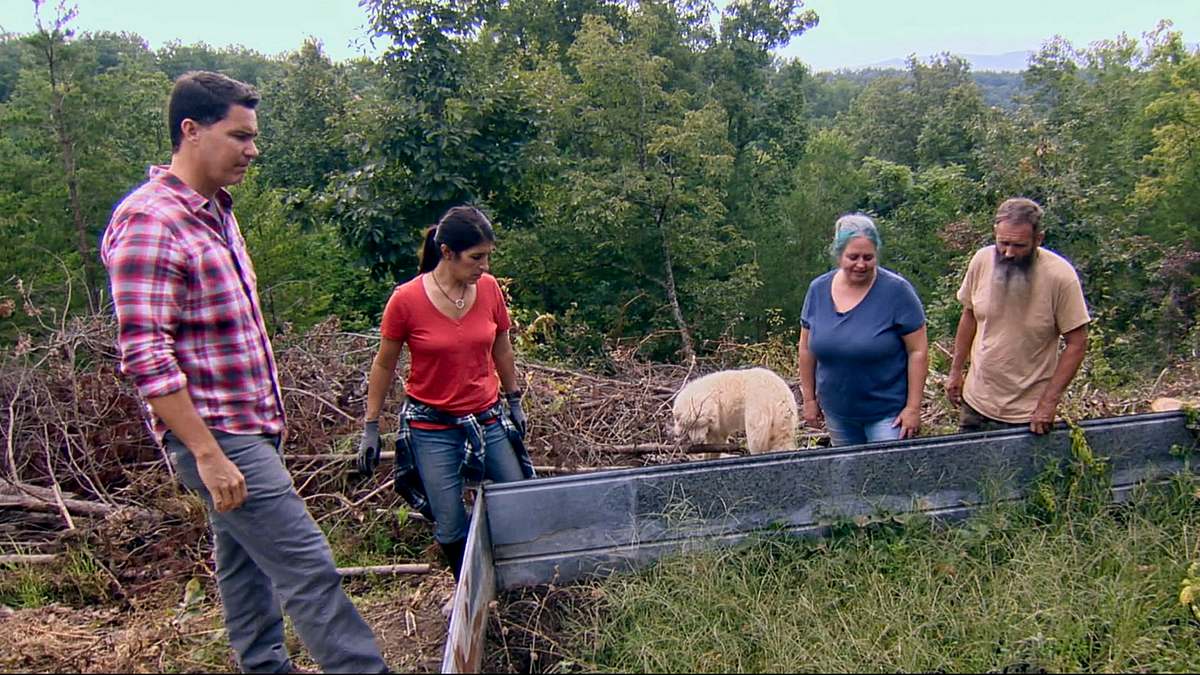 home rescue - wohnen in der wildnis