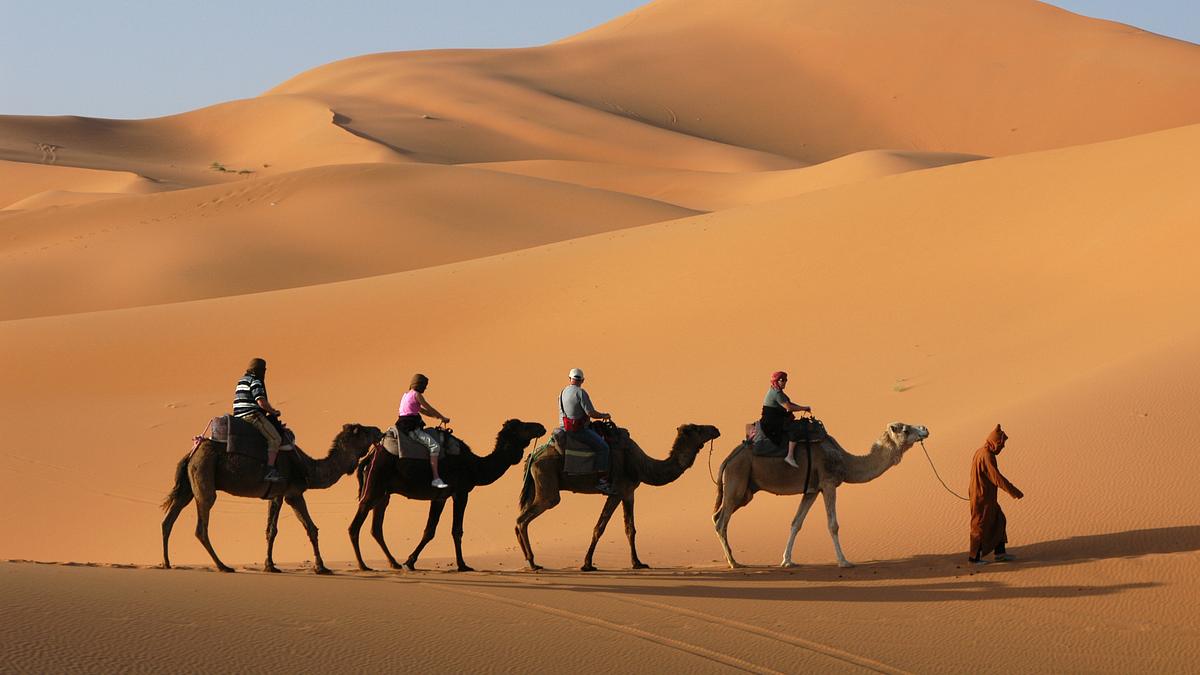 afrikas wilde wunderwelt
