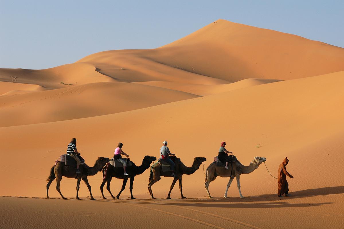 Afrikas wilde Wunderwelt afrikas wilde wunderwelt
